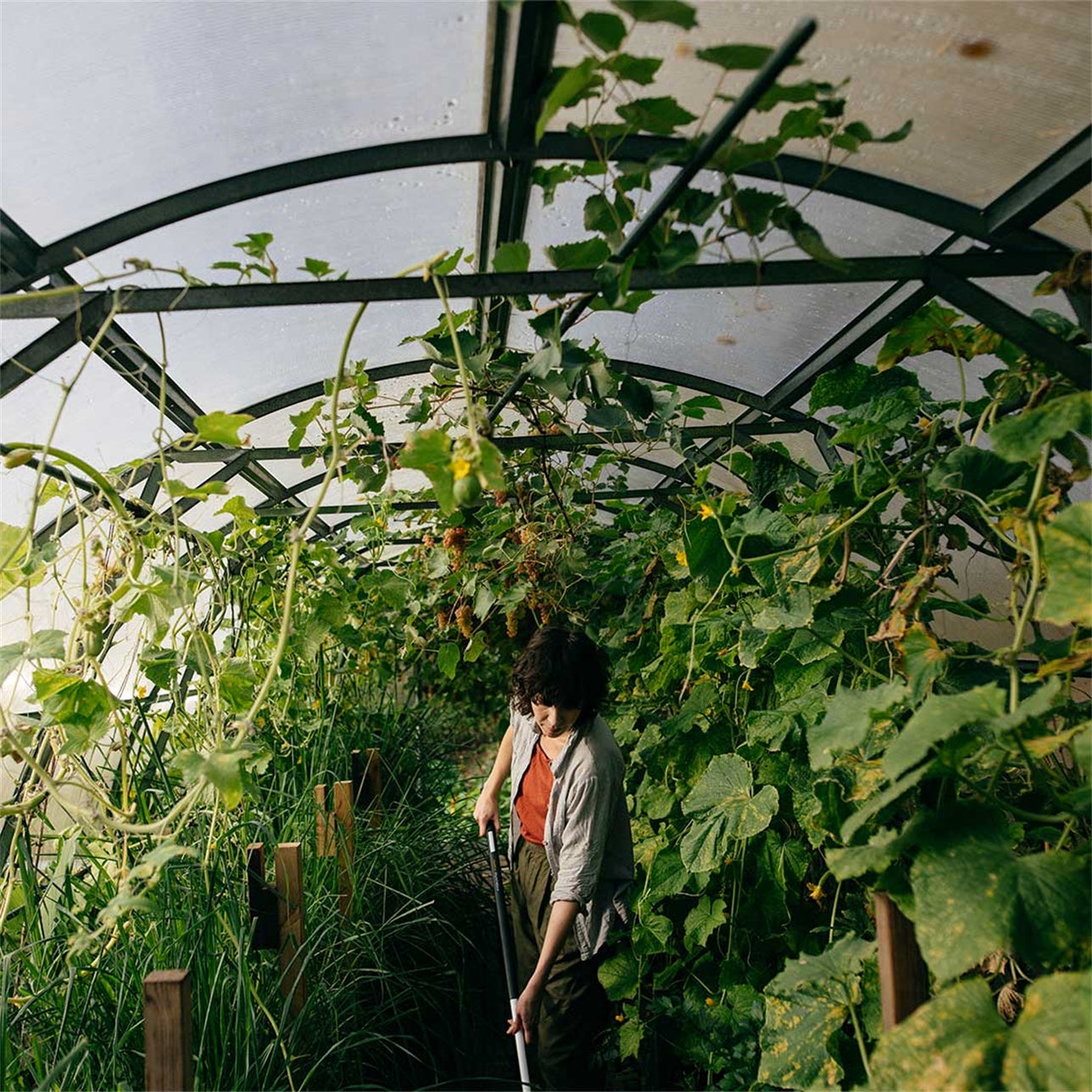 Fiskars X-Series Тармуур M