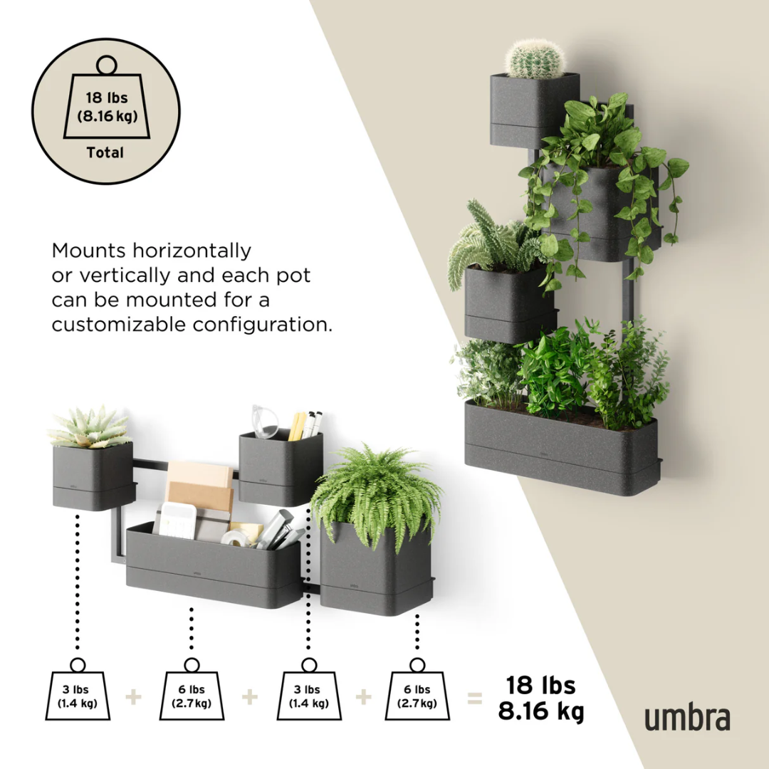 Umbra Cubiko Цэцгийн сав
