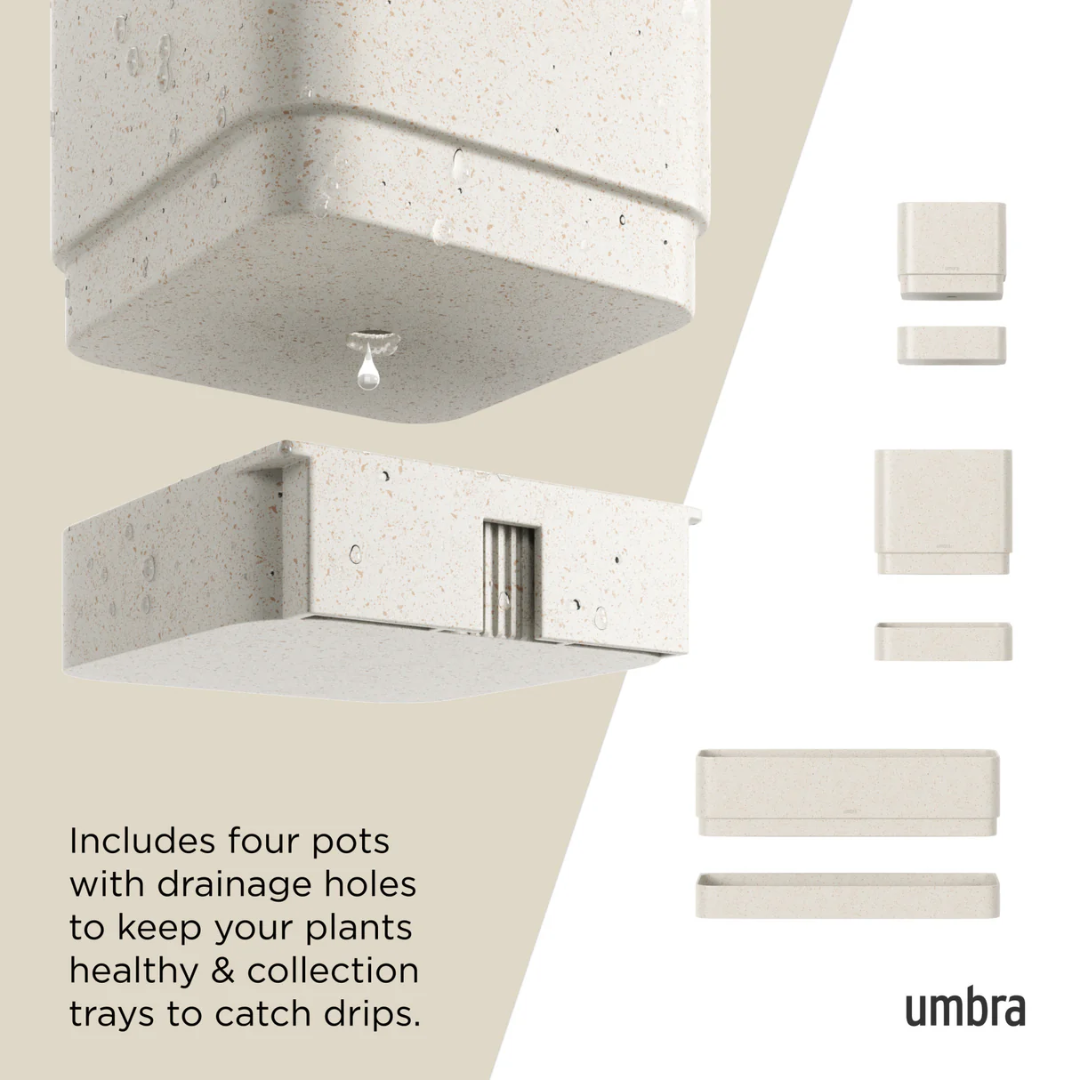 Umbra Cubiko Цэцгийн сав