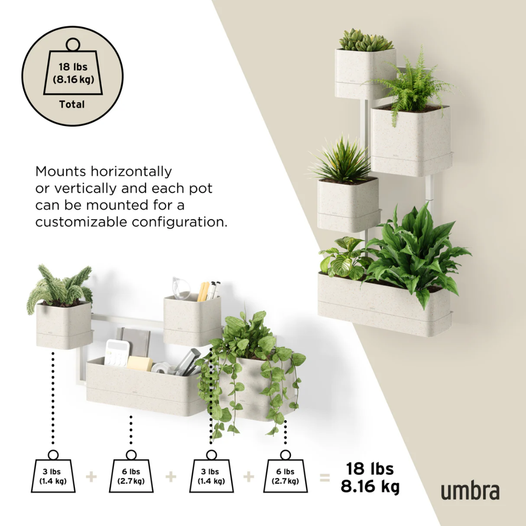Umbra Cubiko Цэцгийн сав