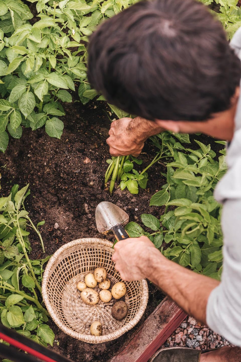 1027043 // Fiskars Xact Хүрз, жижиг цэцэрлэгжүүлэлтийн