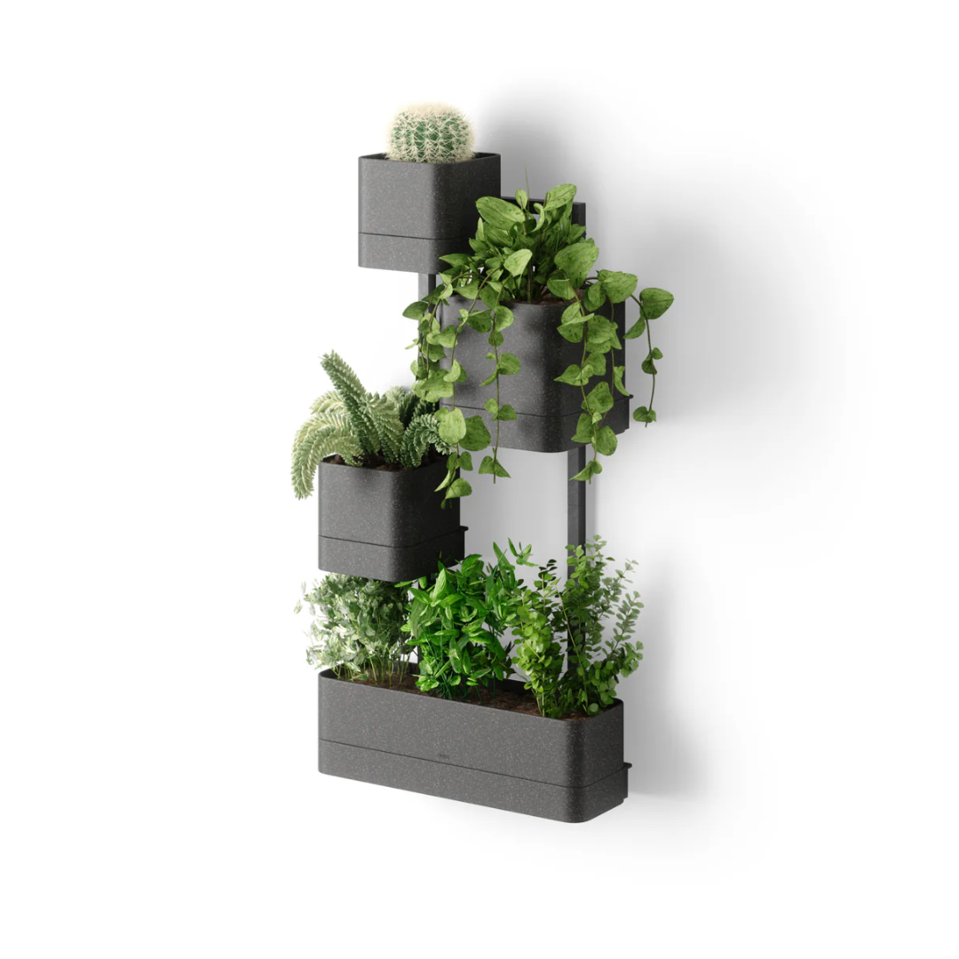 Umbra Cubiko Цэцгийн сав