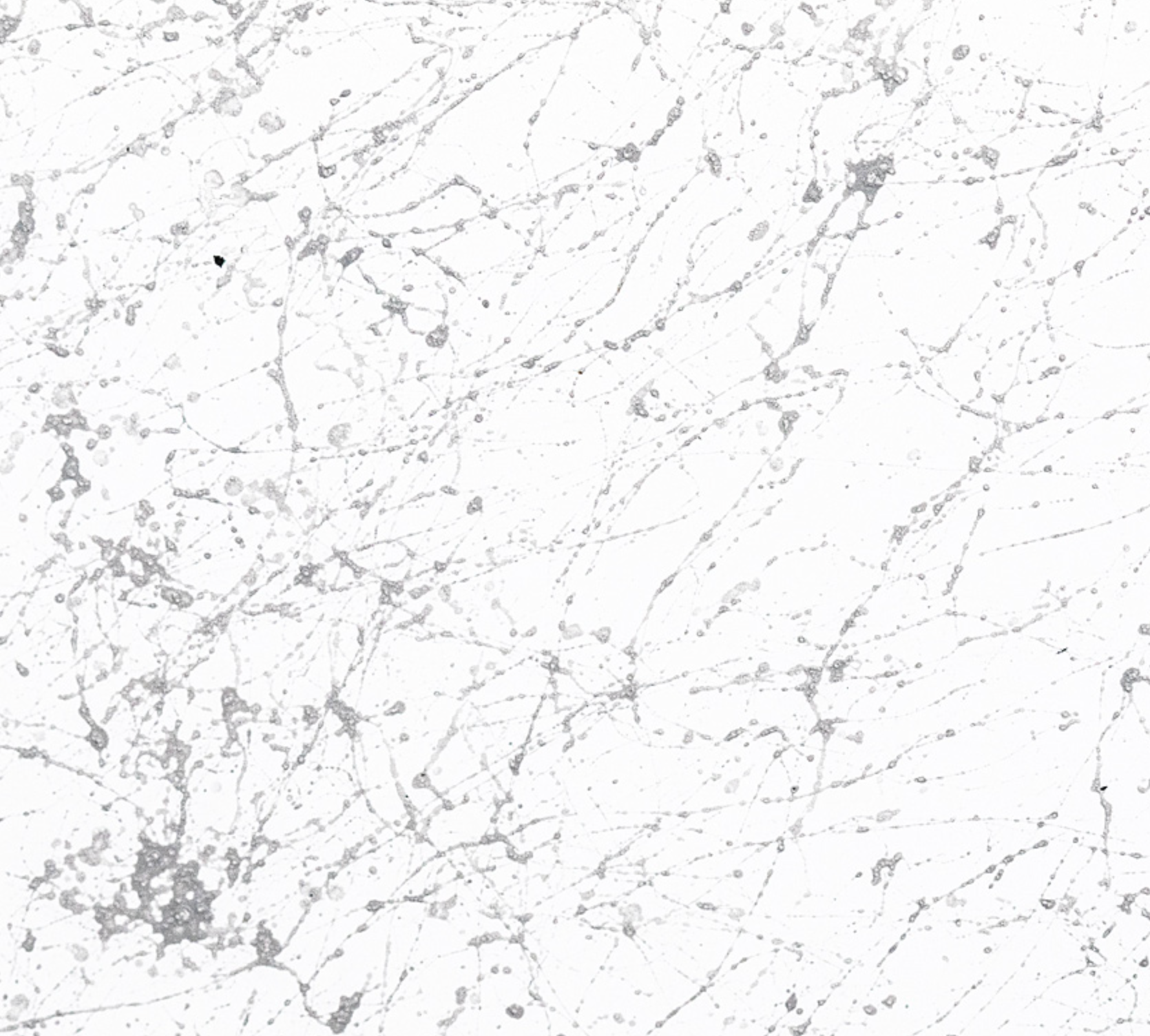Montana Marble Effect