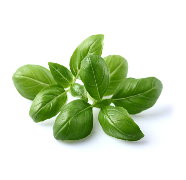 Click & Grow Базилик (х3)