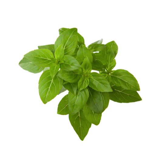 Click & Grow Одой базилик (х3)