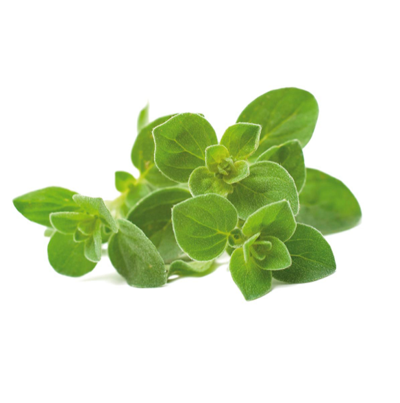 Click & Grow Орегано (х3)