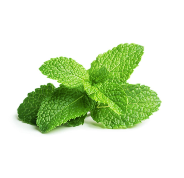 Click & Grow Гаа (х3)