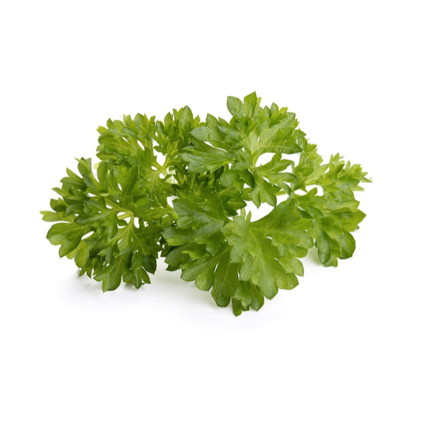 Click & Grow Яншуй (х3)