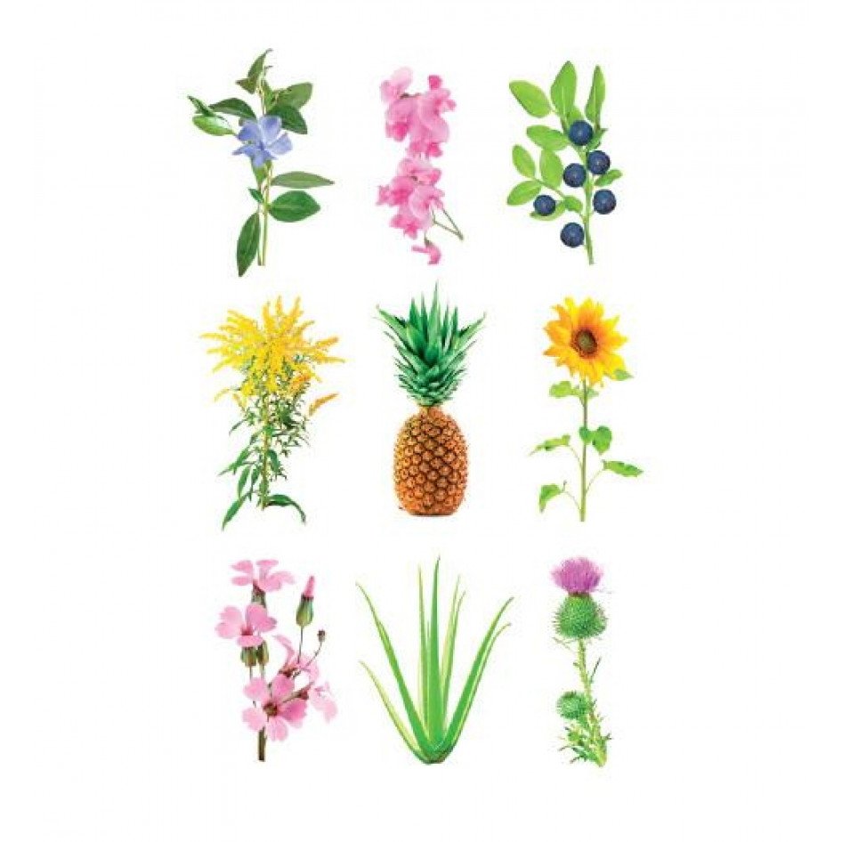 Click & Grow Туршилтын капсул (х3)