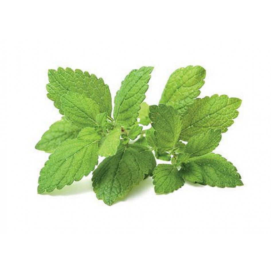 Click & Grow Нимбэгний гавар (х3)