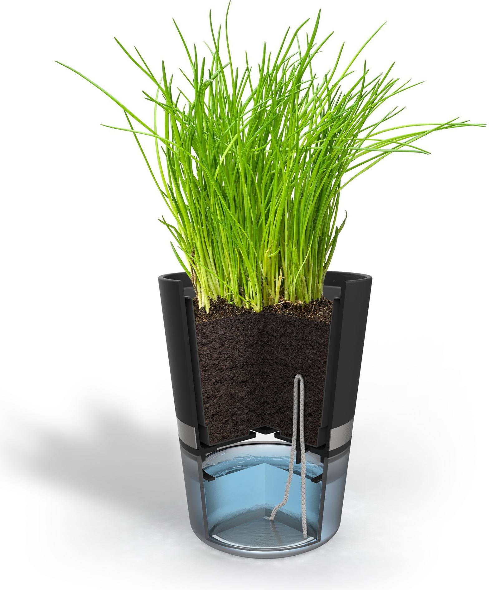 Botanico Нарийн ногоо тарих сав