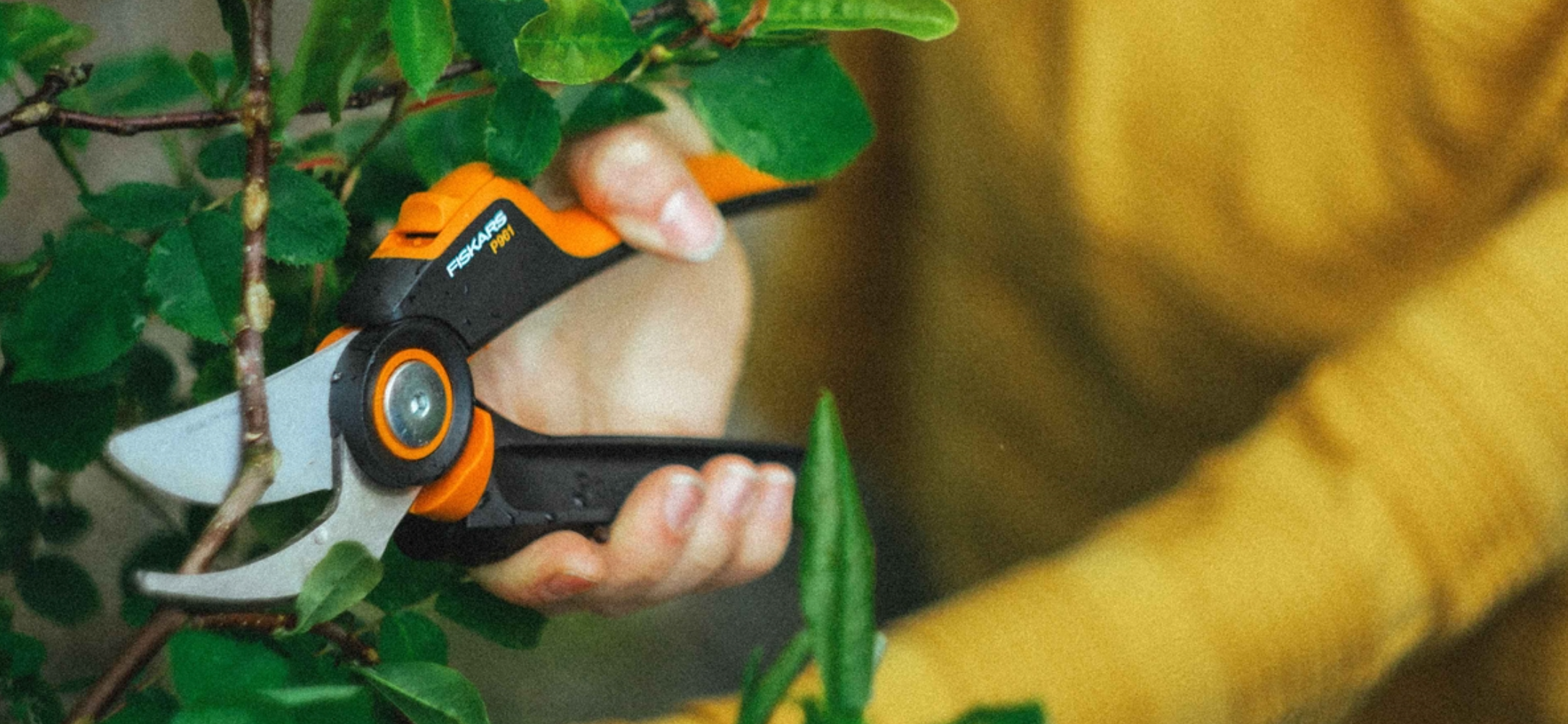 Fiskars цэцэрлэгжүүлэлт