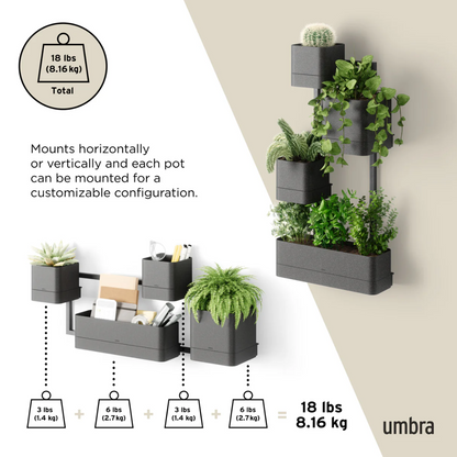 Umbra Cubiko Цэцгийн сав