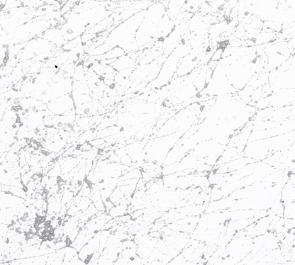 Montana Marble Effect