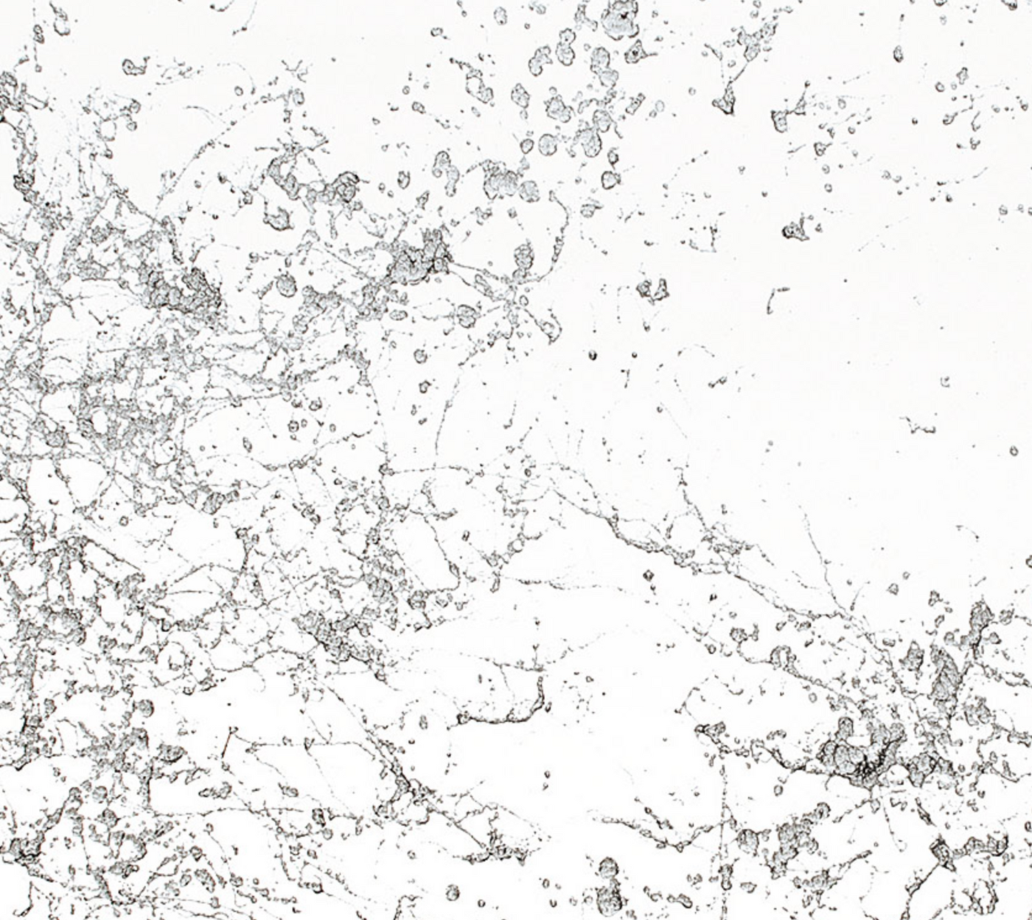 Montana Marble Effect