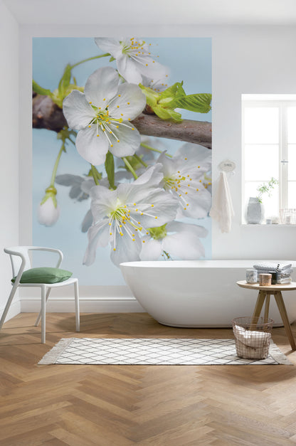 Blossom